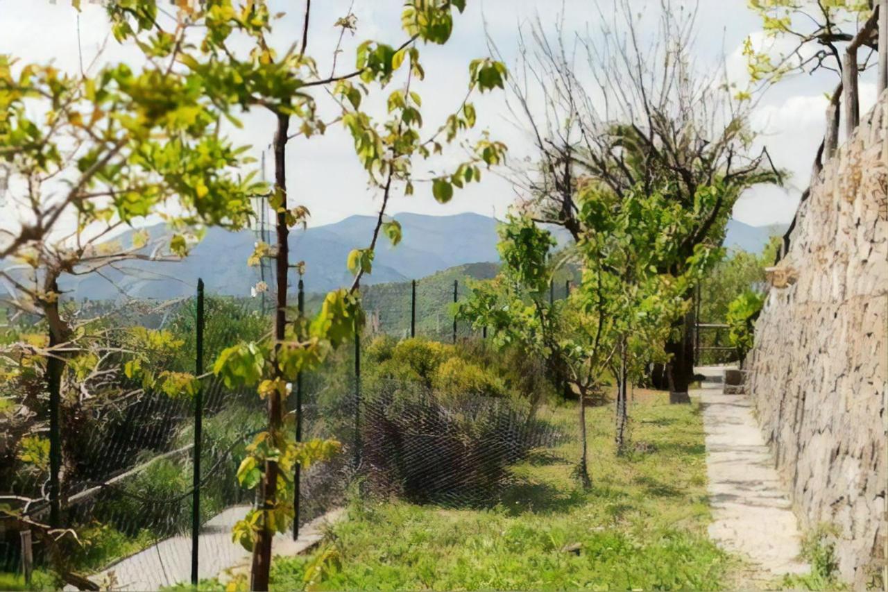 Casa Roberto B&B Σαβόνα Εξωτερικό φωτογραφία